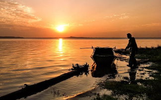 光影瞬間，生活之美 手機攝影作品精選賞析