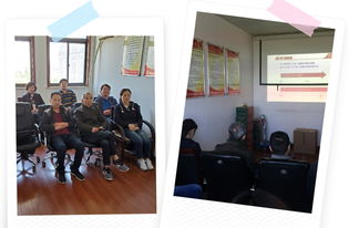 凝聚青年力量 彰顯時代擔當——上海寶郊園商務信息咨詢黨支部組織收看主題講座